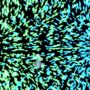 【動画】花ハ円ヲ描キ眠ル8